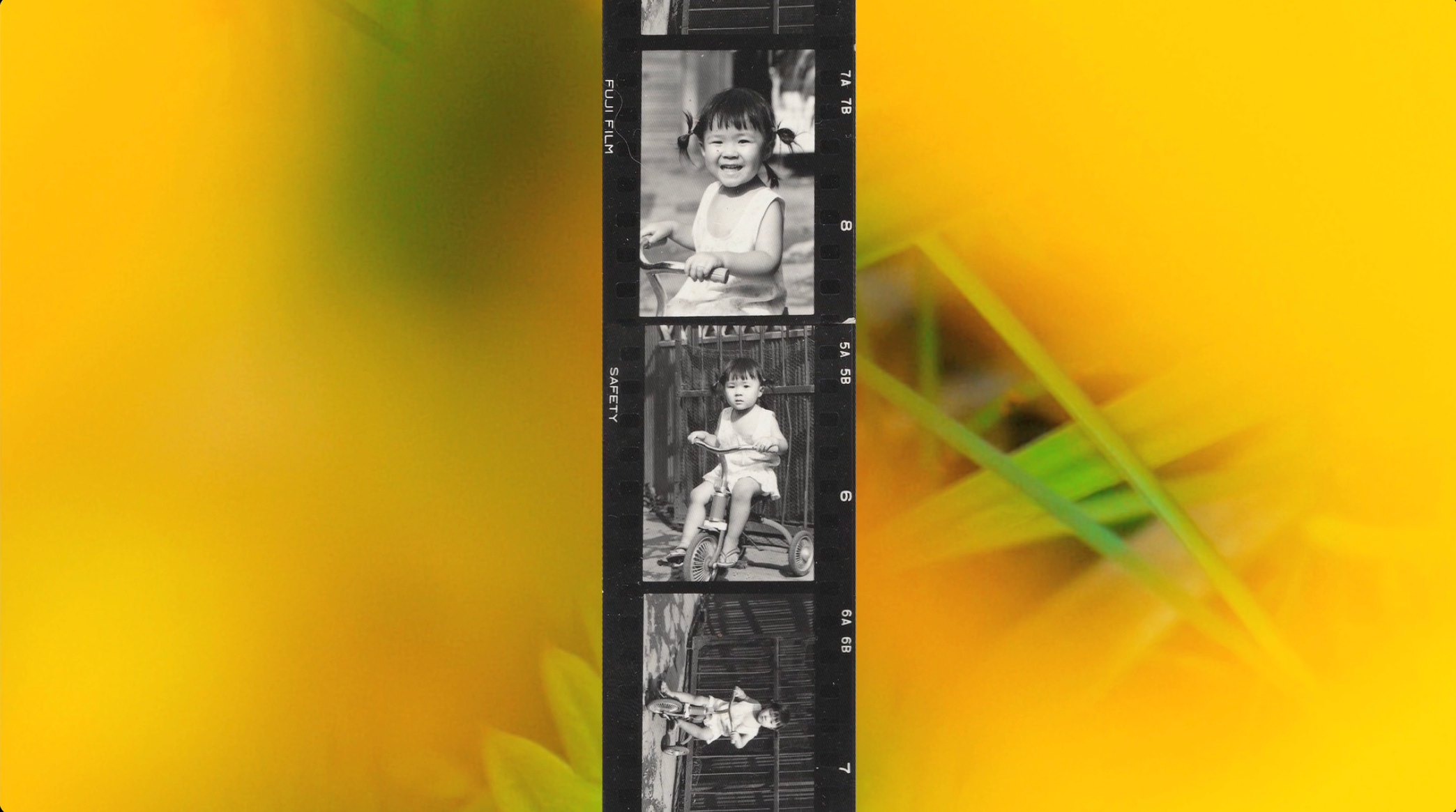 Memory Loop - Sachiko